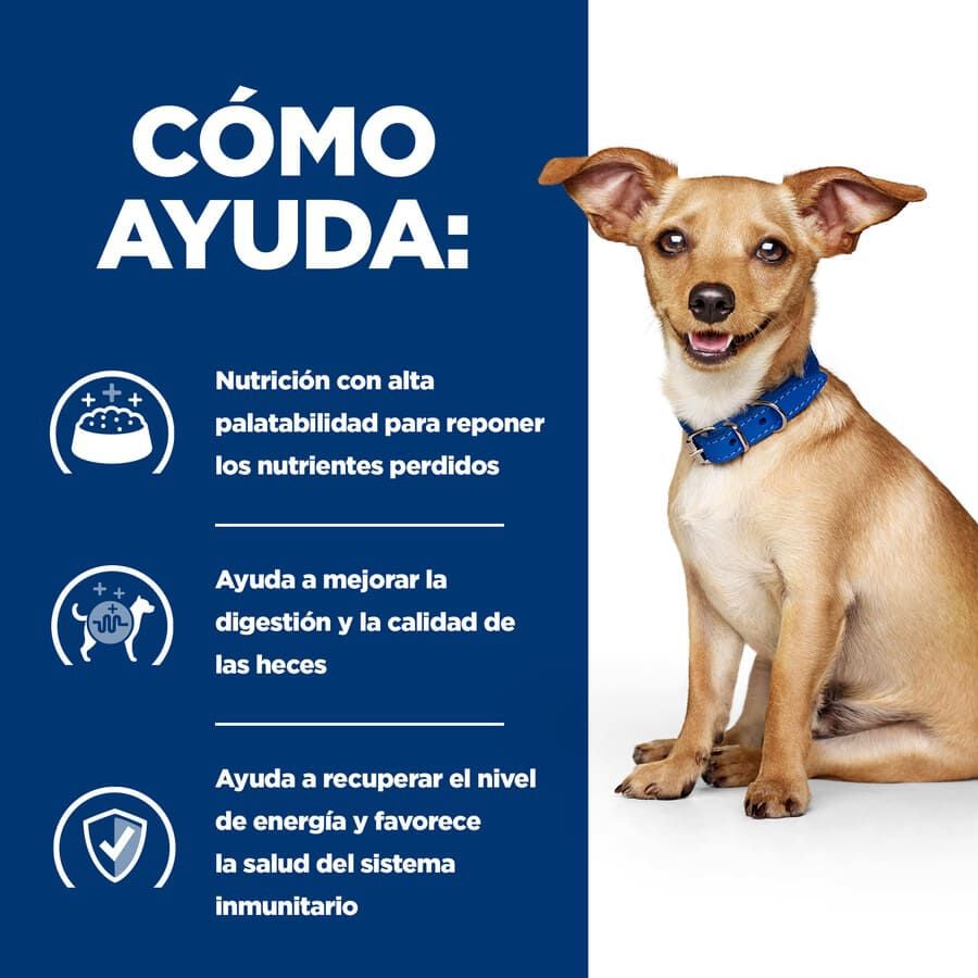 354 g Hill's Prescription Diet Digestive Care i/d Perros Lata Estofado Pollo y Verduras, , large Imagen numero 4